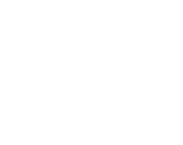 555 MAGNUM